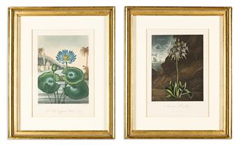 (BOTANICAL.) Dr. Robert John Thornton. Group of 14 uniformly framed plates from the quarto edition of Temple of Flora.